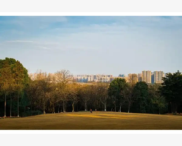 副屏图表重启丢失问题与MT4多显示器保存机制探究