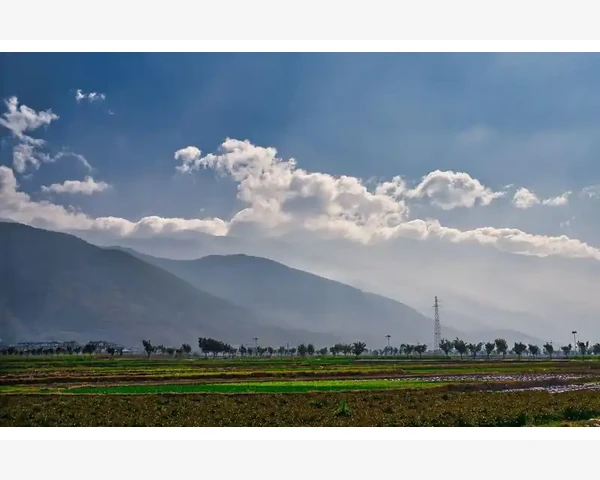 MT4电脑版安装卡住不动真实原因排查与解决_安装卡住的头号元凶往往在杀毒软件