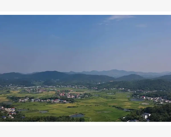 MT4交易手数调整方法一次学会