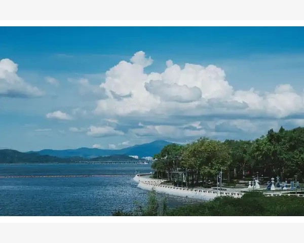 MT4电脑版账户资料修改流程与注意事项_利用自定义指标计算日内振幅