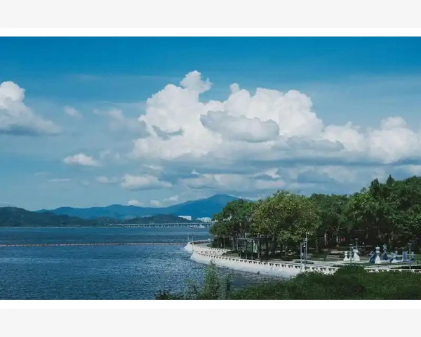 MT4图表主副图位置互换窗口拖动技巧详解